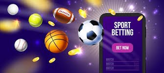 bsport app